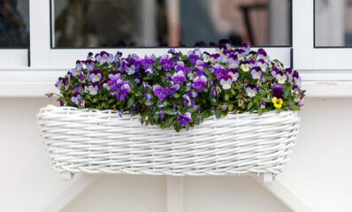 A white basket filled with purple flowers sits on a window sill