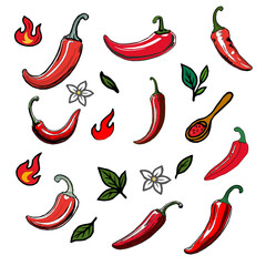 hot chili pepper. Red chili pepper hand drawn illustration. Vibrant red chili pepper illustration. Hand drawn red chili pepper. Red chili pepper doodle