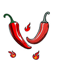 hot chili pepper. Red chili pepper hand drawn illustration. Vibrant red chili pepper illustration. Hand drawn red chili pepper. Red chili pepper doodle