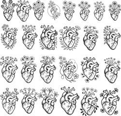 Anatomical Heart SVG, Floral Heart