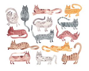 Funny  Watercolor Hand Painted