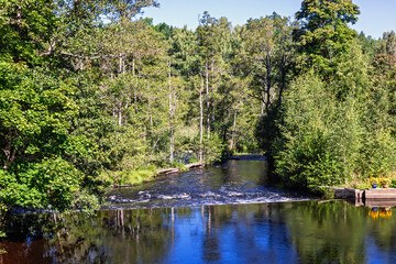 River in a lush green deciduous forest a beautiful sunny summer day