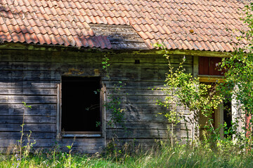 Window on an old abandoned cottage with overgrown garden