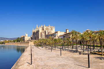 Beautiful view at the famous cathedral in Palma on Mallorca
