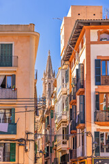 Apartment house with balconies and a narrow alley with palma cathedral