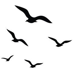 A silhouette vector of a flock of seagulls in flight against a plain background. Evokes coastal atmosphere, freedom, and seaside wildlife.