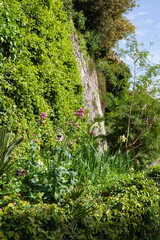 In Florence, Italy, this romantic Rose garden features an array of decorative plants that perfectly complement the roses, cultivating a serene and romantic garden atmosphere.