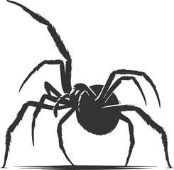 Vector art of a spider animal silhouette drawing
