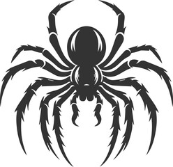 Vector art of a spider animal silhouette drawing
