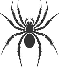 Vector art of a spider animal silhouette drawing