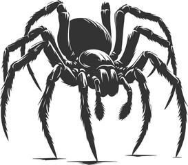 Vector art of a spider animal silhouette drawing