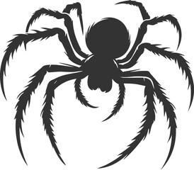Vector art of a spider animal silhouette drawing