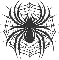 Vector art of a spider animal silhouette drawing
