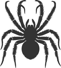 Vector art of a spider animal silhouette drawing