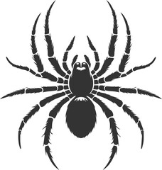 Vector art of a spider animal silhouette drawing