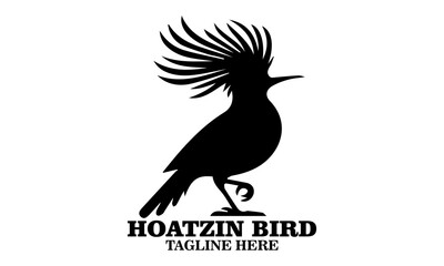 Hoatzin bird icon. hoatzin bird silhouette vector and hoatzin bird logo art with white background