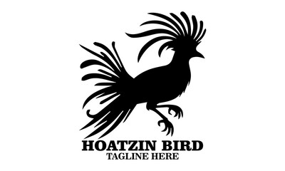 Hoatzin bird icon. hoatzin bird silhouette vector and hoatzin bird logo art with white background
