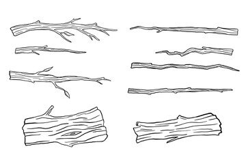 Dry tree and branch sketch isolated on white background. Hand drawn illustrations set, wood trunk © Elena