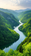 Stunning aerial view of a winding river flowing through a lush mountain valley. Verdant forests blanket the hills under a bright sky.