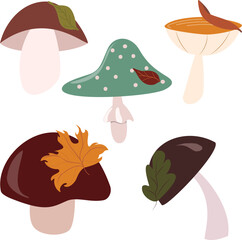 Vector set of five colorful cartoon mushrooms with a flat isolated design. Features varying shapes, shades of brown, green, red, and yellow, with autumn leaves.