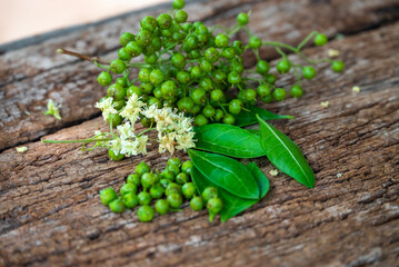 Henna or lawsonia inermis ,flower ,fruits and green leaves on an old wood background