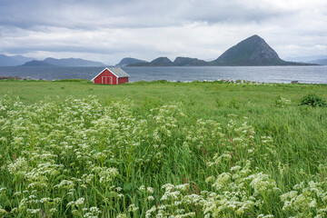 Green field and blue sky at Høgsteinneset, Godøy, Giske, More og Romsdal, Norway