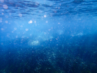 bubbles, bubble, water, underwater, sea, air, deep, undersea, under, background, wave, liquid,...