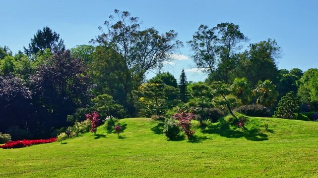 View of a manicured grassy hill, trimmed shrubs, and trees beneath a clear blue sky at Haute Bretagne Botanical Park.