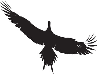 Obraz premium Flying Bird of Prey Silhouette