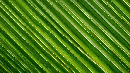 Lush green tropical palm leaves create a vibrant background in an exotic setting