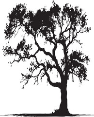  Majestic Oak Tree Silhouette