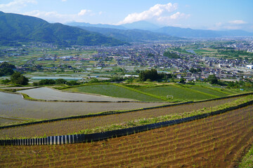 姨捨の棚田　田植えシーズン