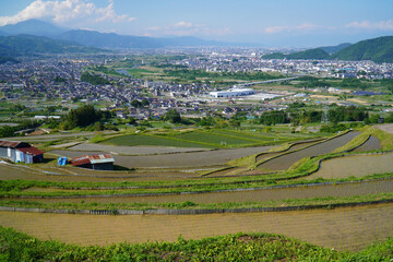姨捨の棚田　田植えシーズン