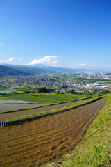 姨捨の棚田　田植えシーズン