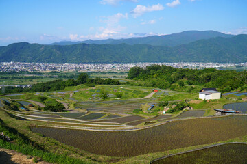 姨捨の棚田　田植えシーズン