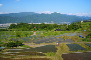 姨捨の棚田　田植えシーズン