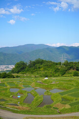 姨捨の棚田　田植えシーズン