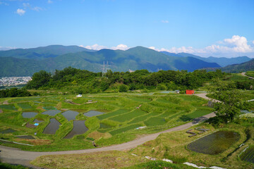 姨捨の棚田　田植えシーズン