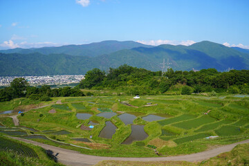 姨捨の棚田　田植えシーズン