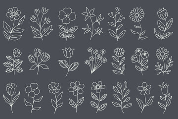 Hand drawn floral illustrations featuring various flowers and leaves on dark background, perfect for design projects