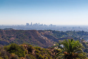 Los Angeles skyline with iconic skyscrapers on the horizon framed by vibrant palm leaves in the foreground