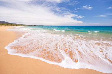 Sunny beach in Hawaii with golden sand, clear blue water under a bright sky