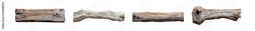 Poster set of sections of weathered driftwood, displaying diverse textures and tones. isolated on transpare