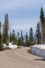 Snow covered road in Mount Rainier National Park surrounded by fir trees