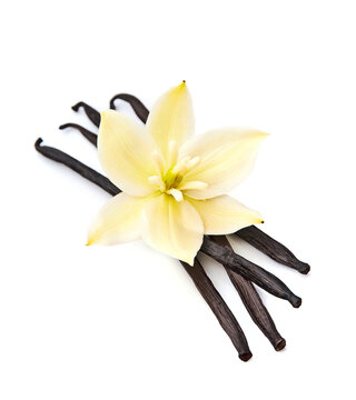 Vanilla stick with flower