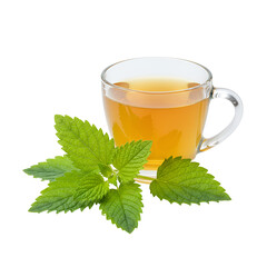 Lemon Balm Leaves with Herbal Tea Cup &ndash; Refreshing Herbal Relaxation Theme