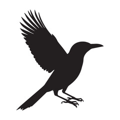 Black bird silhouette graphic bird vector illustration