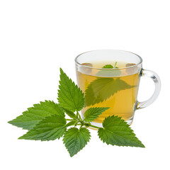 Nettle Leaves with Transparent Vitamin-Rich Infusion Cup &ndash; Nutrient-Packed Herbal Tea Theme