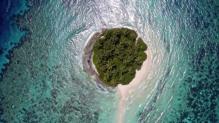 Aerial View of a Tropical Island with Palm Trees and Turquoise Water - Powered by Adobe