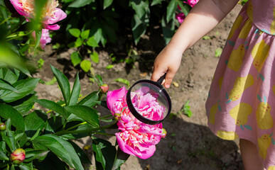 little girl looking at flowers in the garden through a magnifying glass. Selective focus
